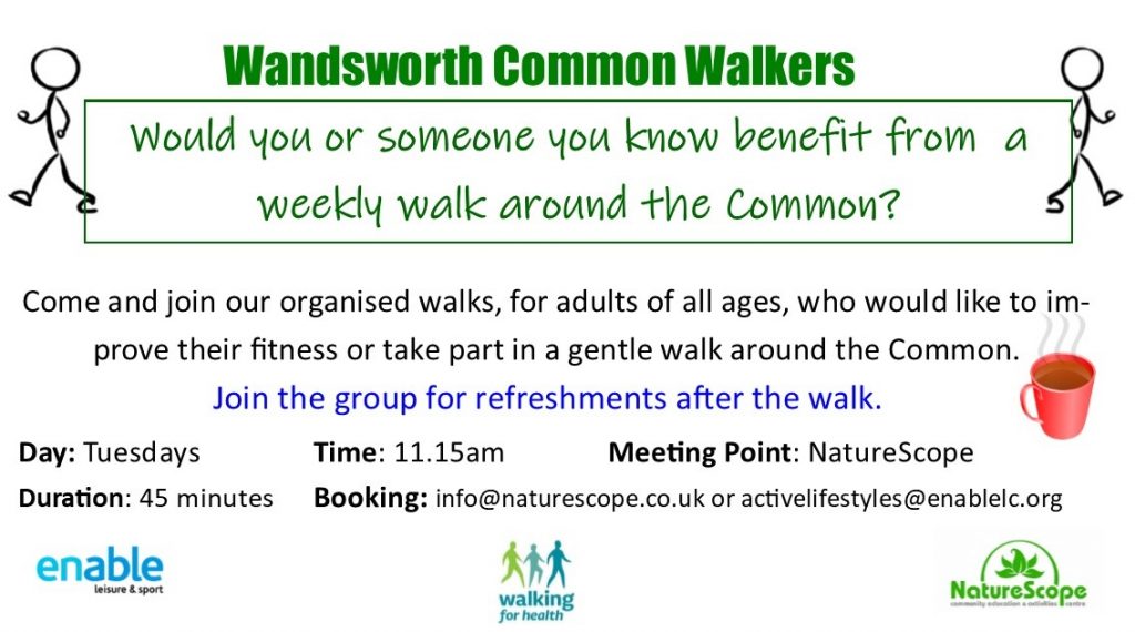 Wandsworth Common Walkers