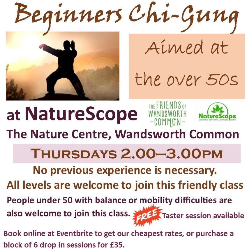 Chi Gung Flyer Spring 2020 website
