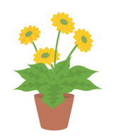 Botanist